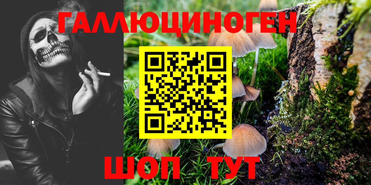 Псилоцибиновые грибы Cubensis Белая Калитва