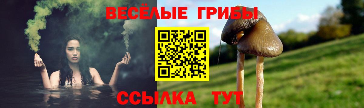 Белая Калитва  Псилоцибиновые грибы прущие грибы  Вход с VPN 